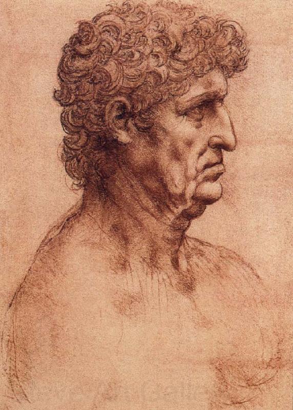 LEONARDO da Vinci Profile of an old man Norge oil painting art